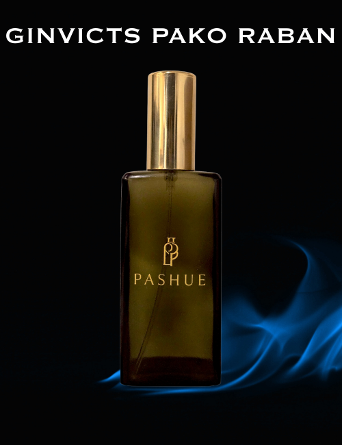 GINVICTS PAKO RABAN inspirado en INVICTUS DE PACO RABANE